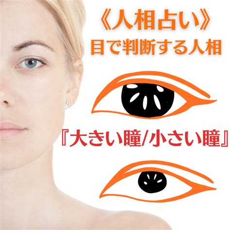 象眼 人相|【人相学】つり目と丸い目、金運がいいのはどっ。